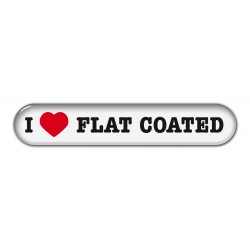 Flat Coated Retriever