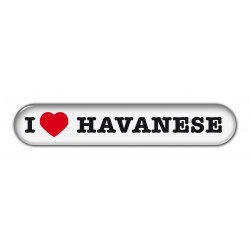 Havaneser
