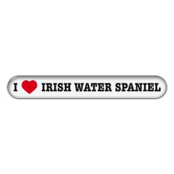 Irishe Wasserspaniel