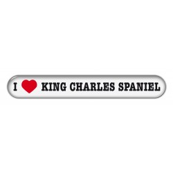King Charles Spaniel
