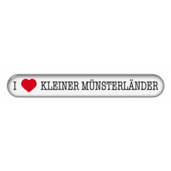 Kleiner Münsterländer