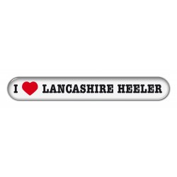 Lancashire Heeler