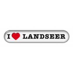 Landseer