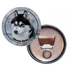 Siberian Husky