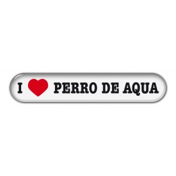 Perro de Aqua Espanol