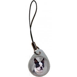 Boston Terrier