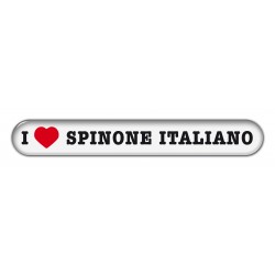 Spinone Italiano