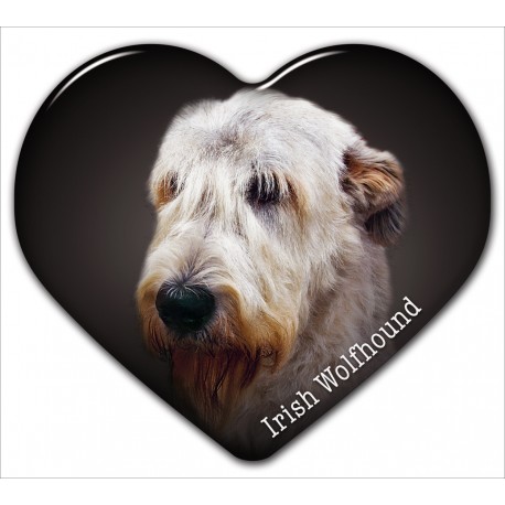 Irish Wolfhound Irish Wolfhound