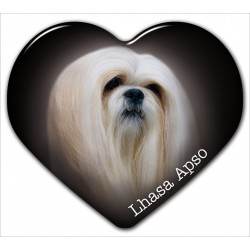 Lhasa Apso