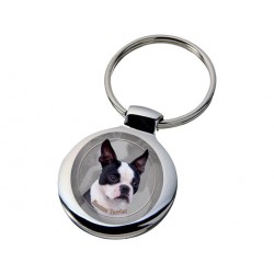 Boston Terrier