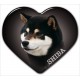 Shiba