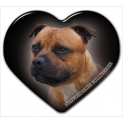 Staffordshire Bull Terrier