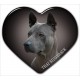 Thai Ridgeback Dog