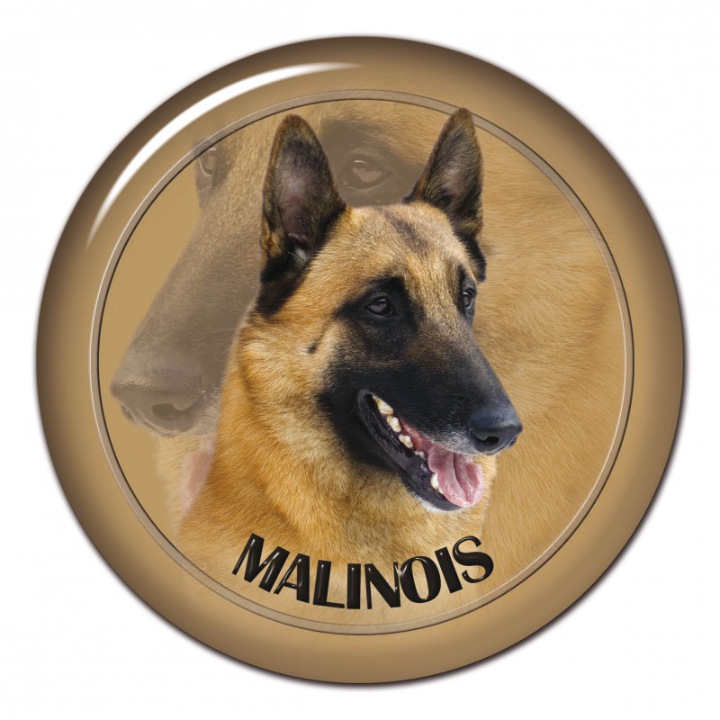 Belgischer Schäferhund - Malinois