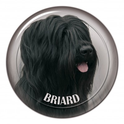 Briard