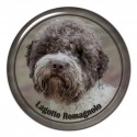 Lagotto romagnolo