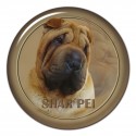 Shar Pei
