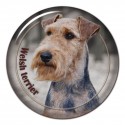 Welsh Terrier