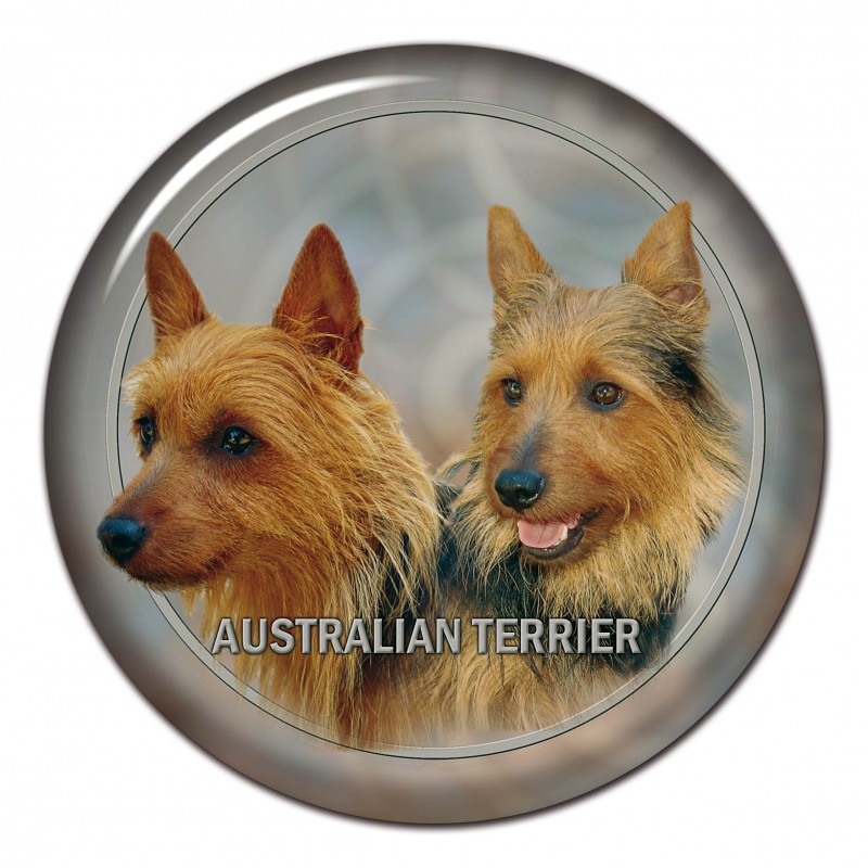 Australian Terrier