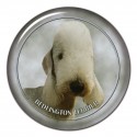 Bedlington Terrier