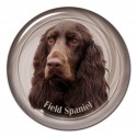 Field Spaniel