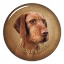 Magyar Vizsla