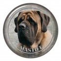 Mastiff
