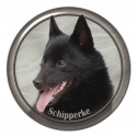 Schipperke