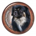 Tibetan Spaniel