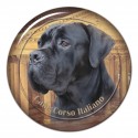 Cane Corso Italiano