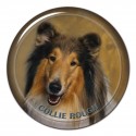 Collie Rough