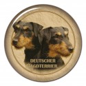Deutscher Jagdterrier