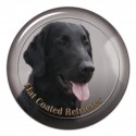 Flat Coated Retriever