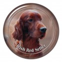 Irish Red Setter
