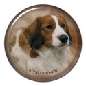 Kooikerhondje