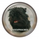 Affenpinscher