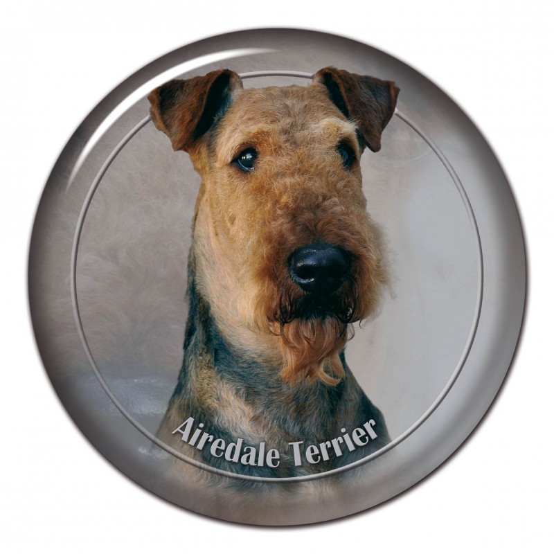 Airedale terier