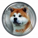 Akita