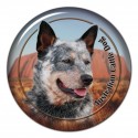 Australian Cattle Dog