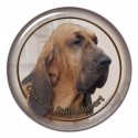 Bloodhound