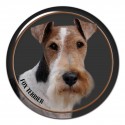Fox Terrier