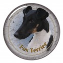 Foxterrier