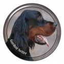 Gordon Setter