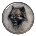 Keeshond