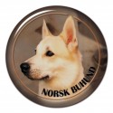 Norwegische Buhund