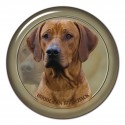 Rhodesian ridgeback