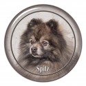Spitz