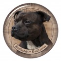 Staffordshire Bullterrier