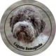 Lagotto romagnolo