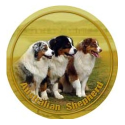 Australian Shepherd
